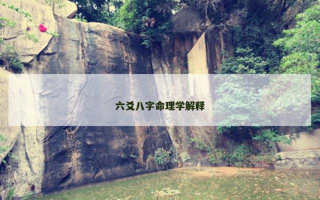 六爻八字命理学解释