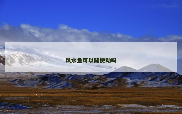 风水鱼可以随便动吗
