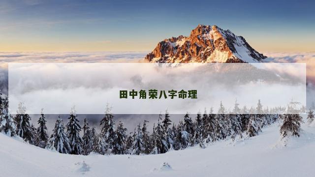 田中角荣八字命理