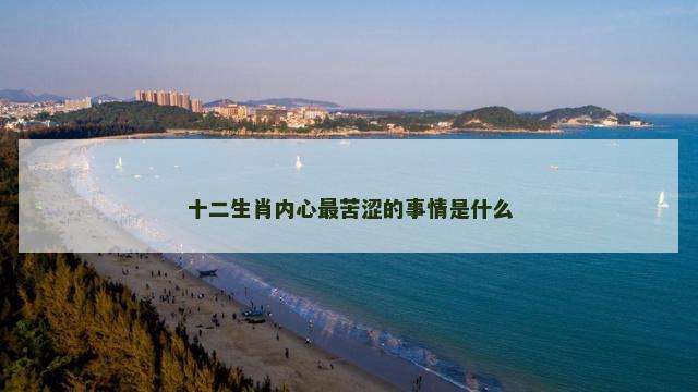 十二生肖内心最苦涩的事情是什么