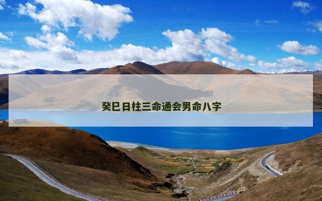 癸巳日柱三命通会男命八字