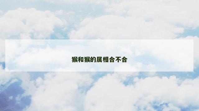 猴和猴的属相合不合