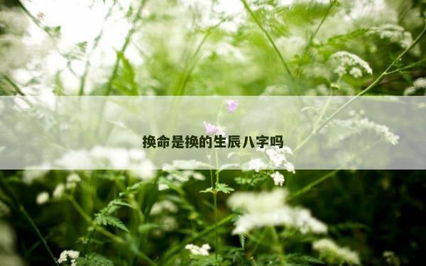换命是换的生辰八字吗