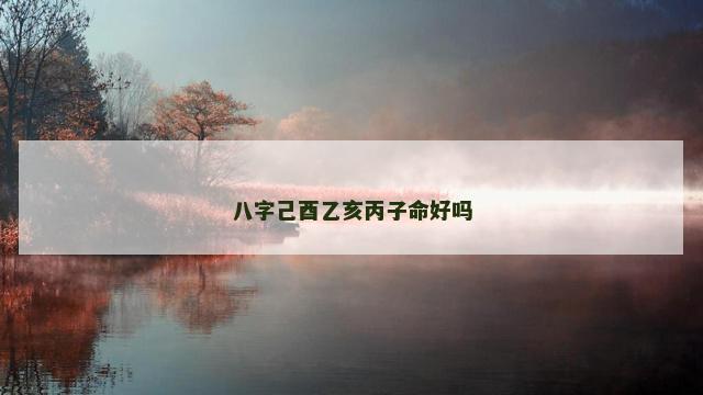八字己酉乙亥丙子命好吗