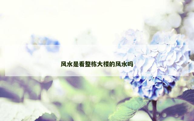 风水是看整栋大楼的风水吗