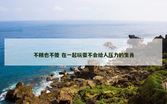 不精也不傻 在一起玩耍不会给人压力的生肖