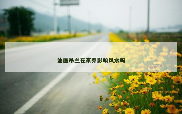 油画吊兰在家养影响风水吗