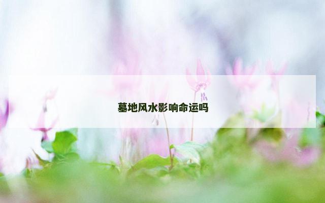 墓地风水影响命运吗