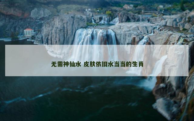 无需神仙水 皮肤依旧水当当的生肖