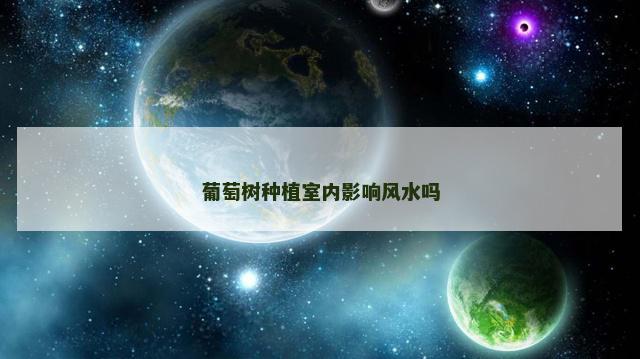 葡萄树种植室内影响风水吗