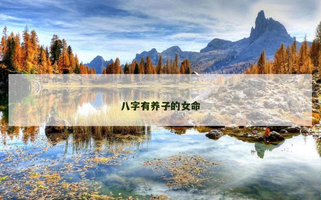 八字有养子的女命
