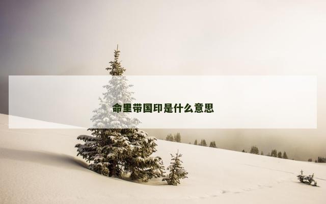 命里带国印是什么意思