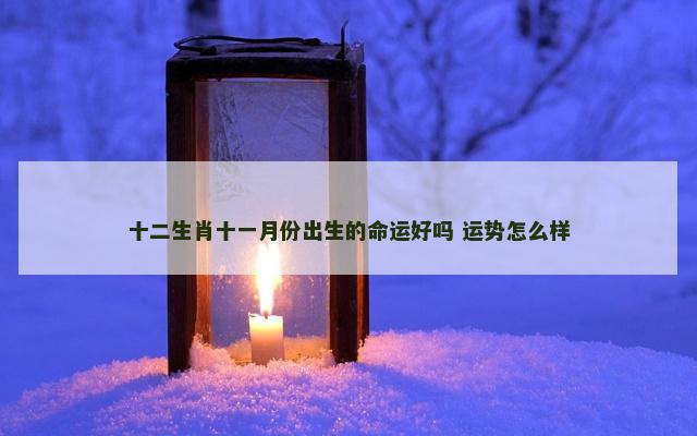 十二生肖十一月份出生的命运好吗 运势怎么样