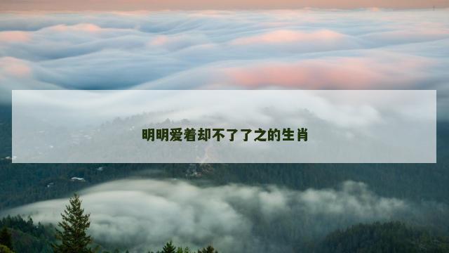 明明爱着却不了了之的生肖