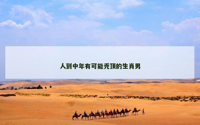 人到中年有可能秃顶的生肖男