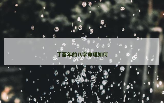 丁酉年的八字命理如何
