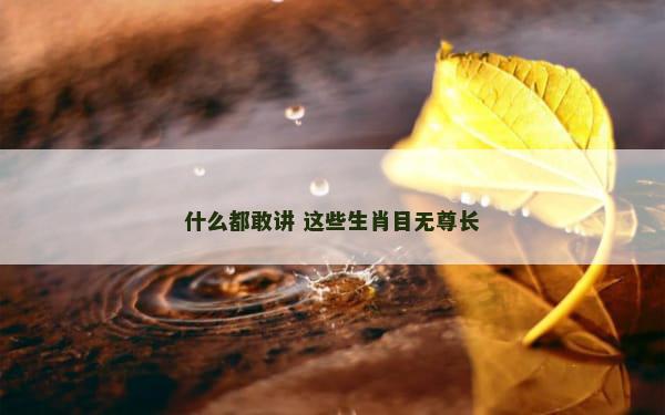 什么都敢讲 这些生肖目无尊长