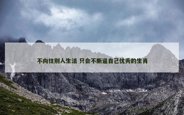 不向往别人生活 只会不断逼自己优秀的生肖