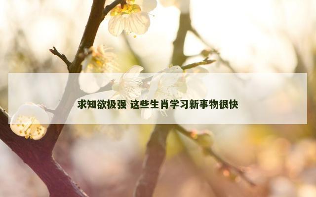 求知欲极强 这些生肖学习新事物很快