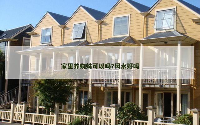 家里养蜘蛛可以吗?风水好吗