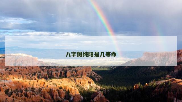 八字假纯阳是几等命
