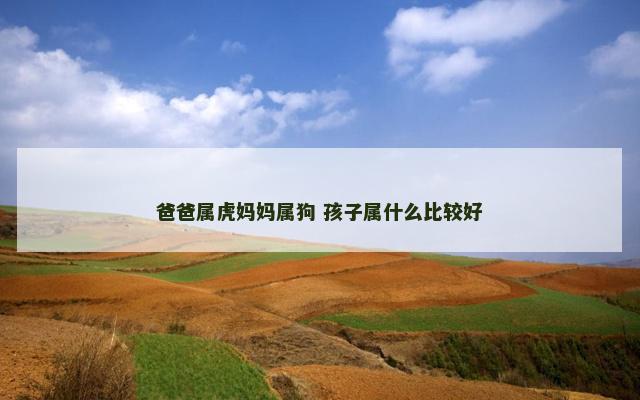 爸爸属虎妈妈属狗 孩子属什么比较好