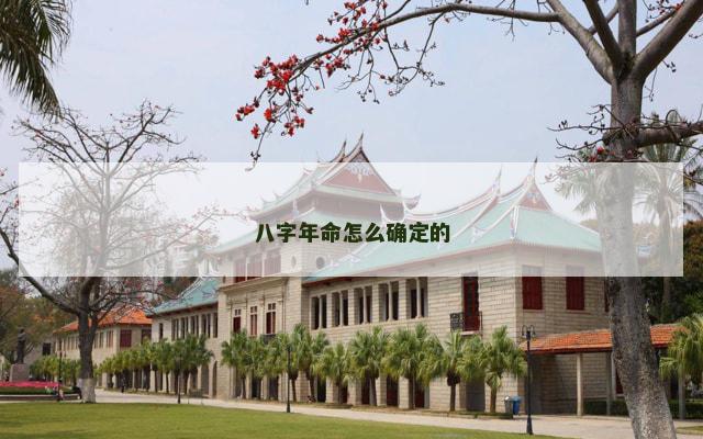 八字年命怎么确定的