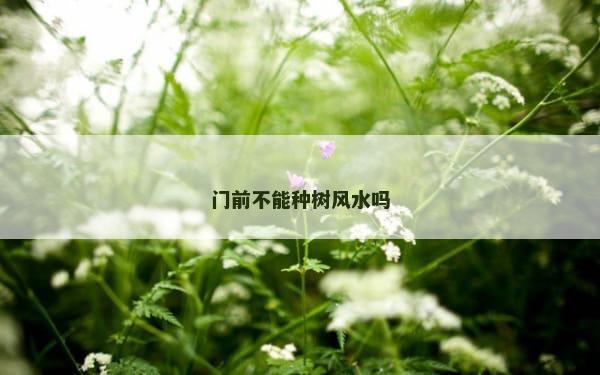 门前不能种树风水吗