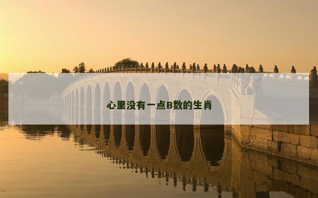 心里没有一点B数的生肖