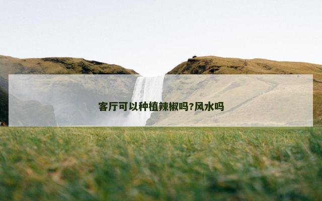 客厅可以种植辣椒吗?风水吗