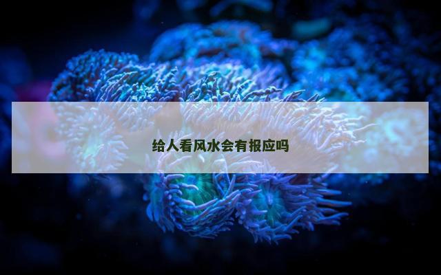 给人看风水会有报应吗