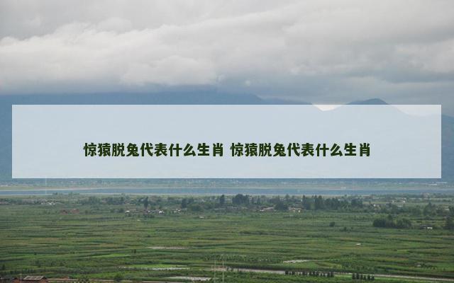 惊猿脱兔代表什么生肖 惊猿脱兔代表什么生肖