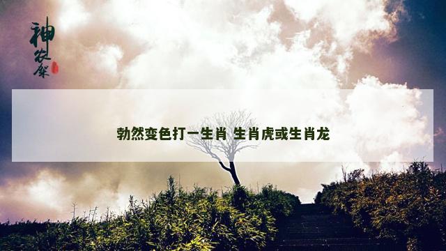勃然变色打一生肖 生肖虎或生肖龙