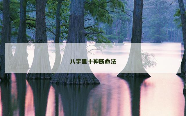八字里十神断命法