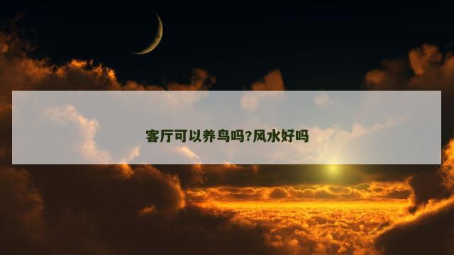 客厅可以养鸟吗?风水好吗