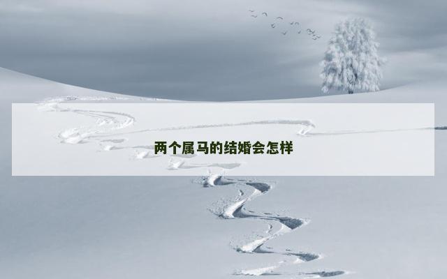 两个属马的结婚会怎样