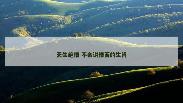 天生绝情 不会讲情面的生肖