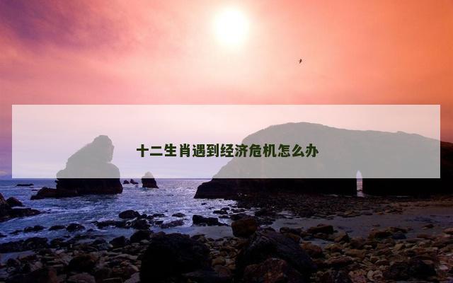 十二生肖遇到经济危机怎么办