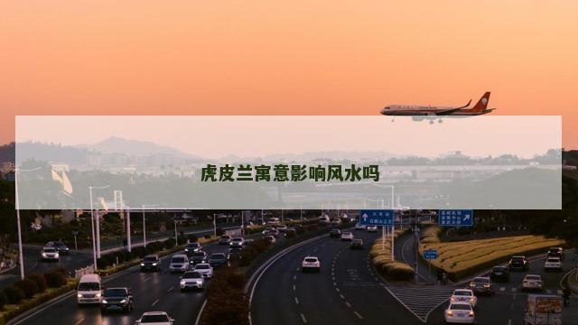 虎皮兰寓意影响风水吗