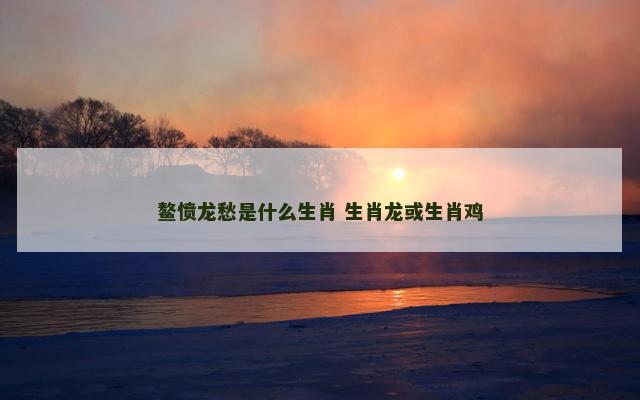 鳌愤龙愁是什么生肖 生肖龙或生肖鸡