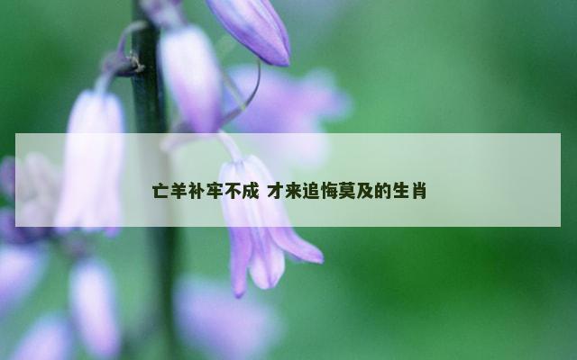 亡羊补牢不成 才来追悔莫及的生肖