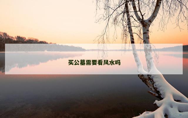 买公墓需要看风水吗