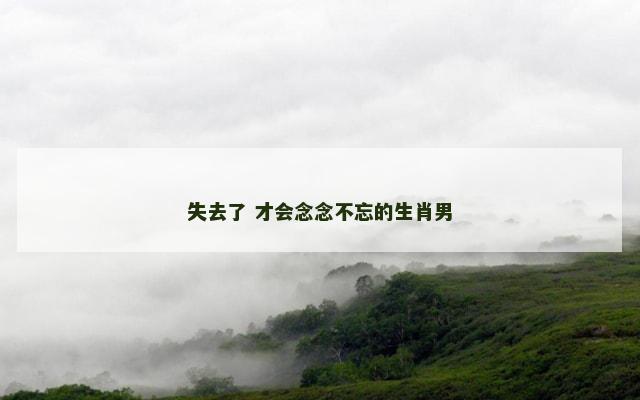 失去了 才会念念不忘的生肖男