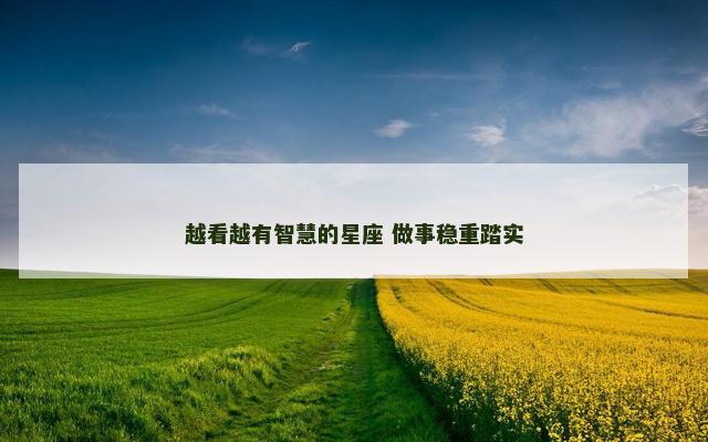 越看越有智慧的星座 做事稳重踏实