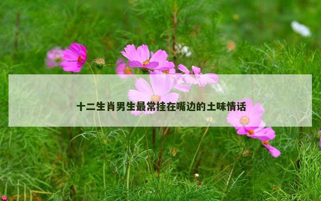 十二生肖男生最常挂在嘴边的土味情话