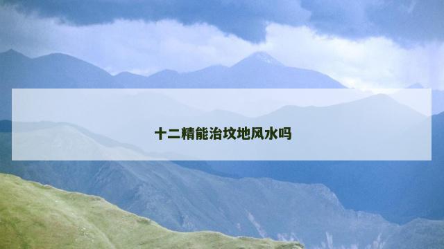十二精能治坟地风水吗
