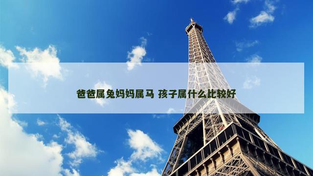 爸爸属兔妈妈属马 孩子属什么比较好