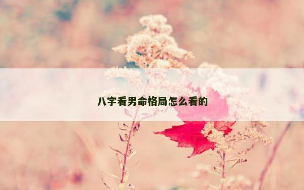 八字看男命格局怎么看的