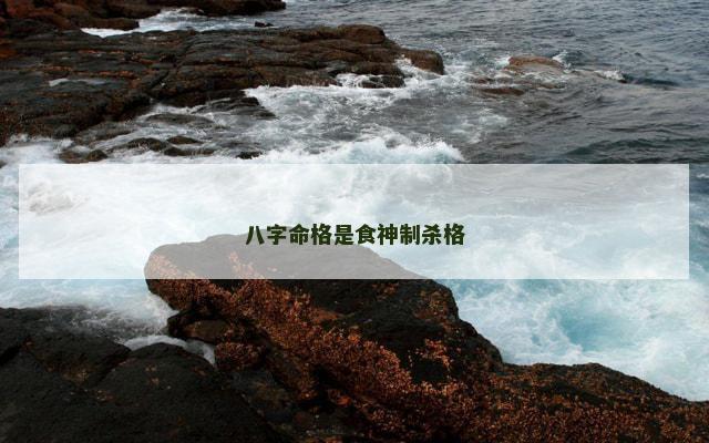 八字命格是食神制杀格