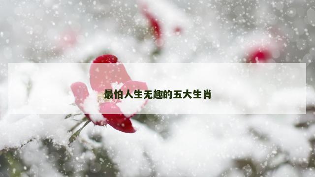 最怕人生无趣的五大生肖